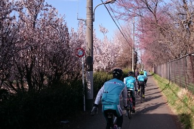 l_20150329_03